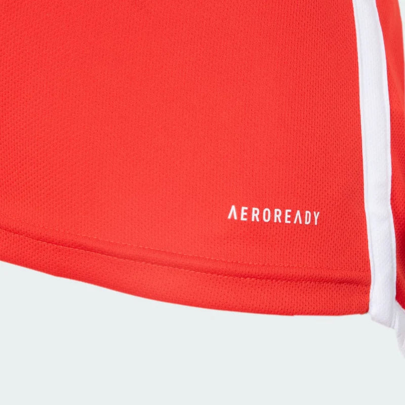 Camisa Masculina Internacional I 2024/25 - Torcedor