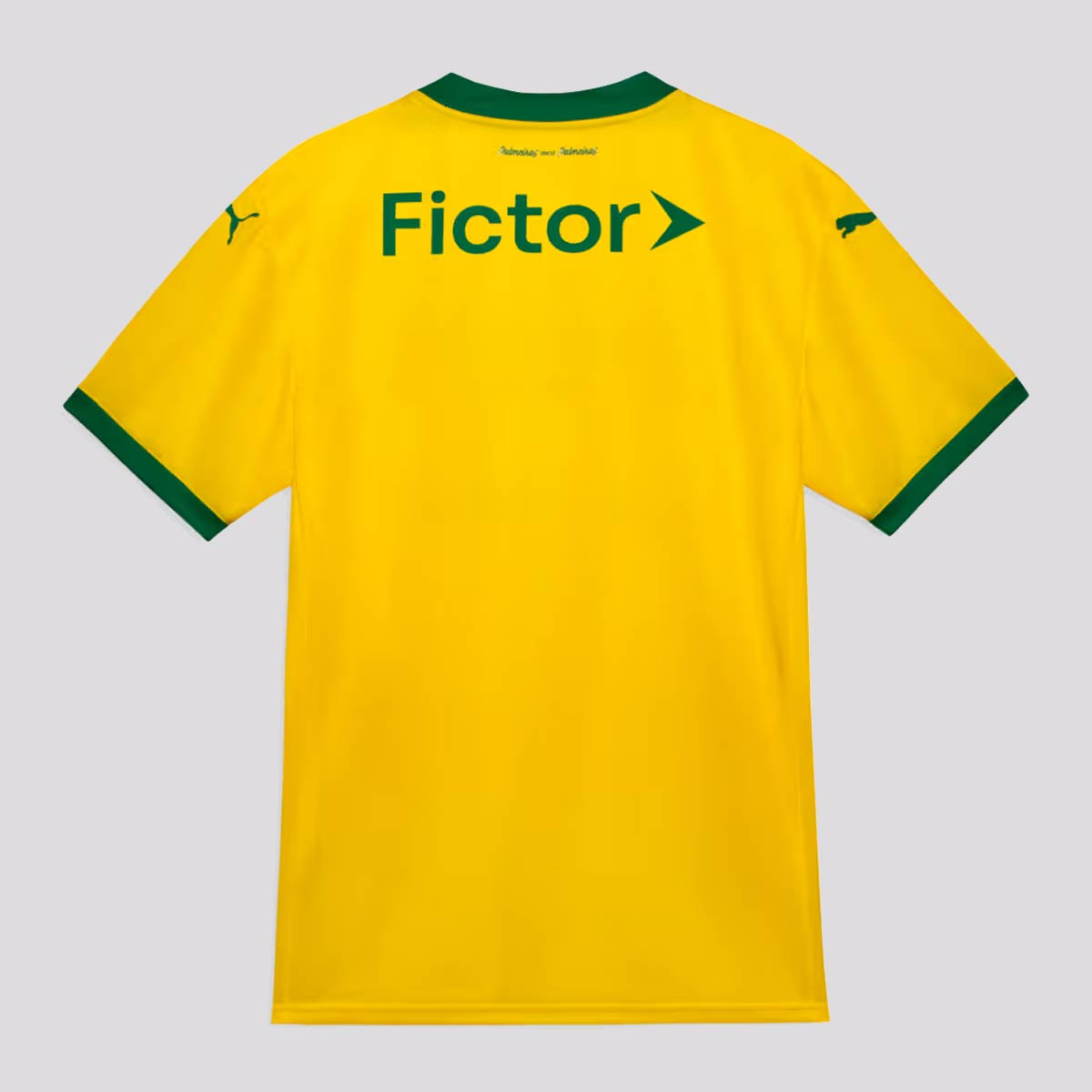 CAMISA VERDÃO THIRD 2025 TORCEDOR MASCULINA
